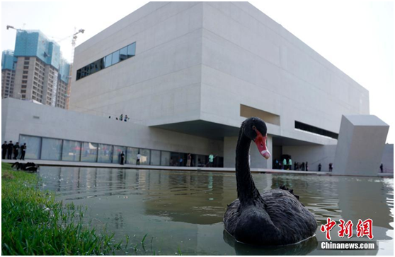 1507699044167718.png 图片.png